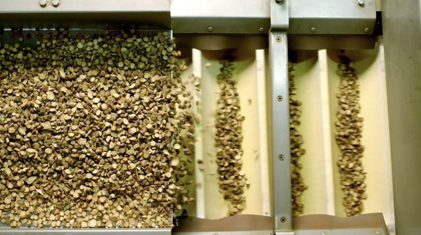 首页| 28圈游戏有限公司官方网站